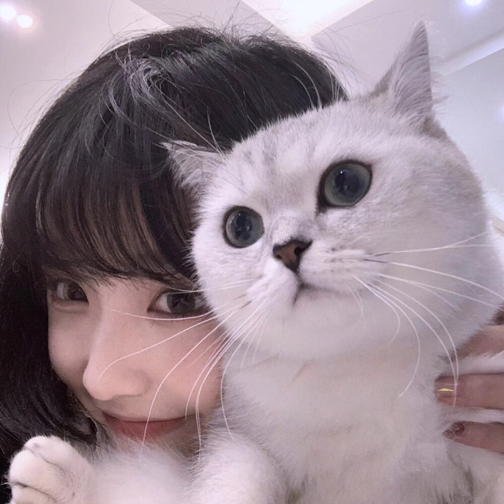 [猫和女孩子]猫和女孩子的头像