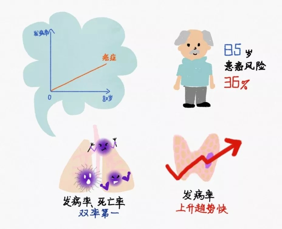 非感染性疾病所致全球疾病负担比例占第一位的是_非感染性疾病所